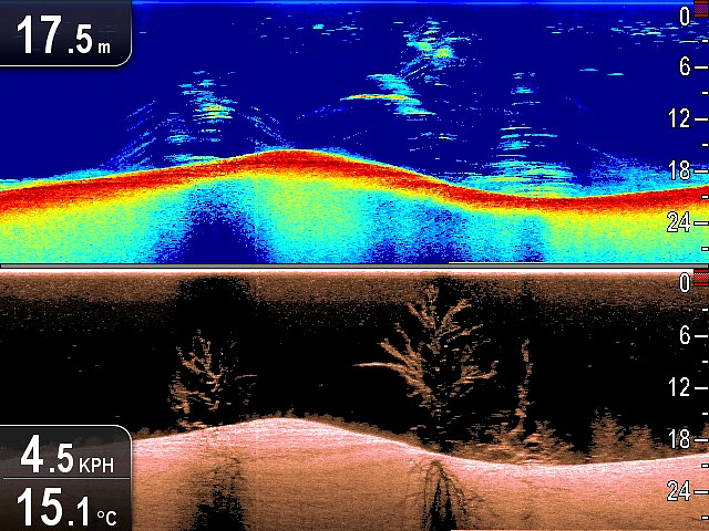 Sonar Raymarine Dragonfly 7 PRO GPS/DI/CHIRP/sonda