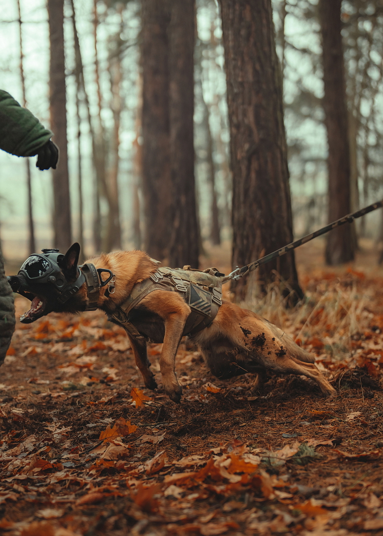 Vodítko K9 Quick Release Dog Lead