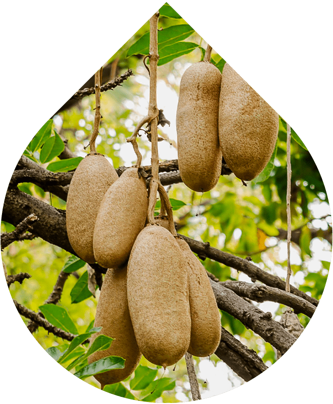 Koncentrované Anti-age sérum 30 ml