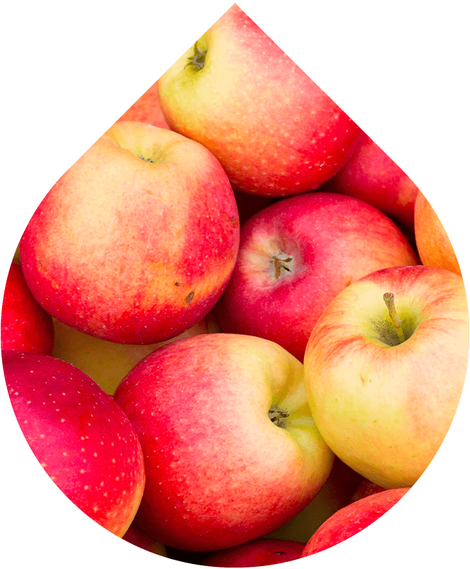 Tonizačná hmla na tvár 100 ml