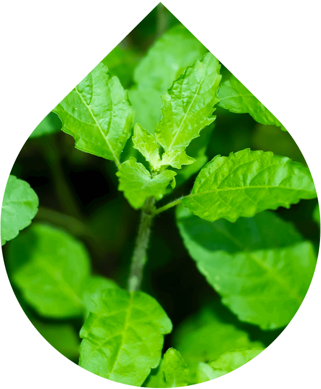 Tonizačná hmla na tvár 100 ml