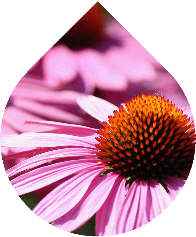 Sérum na rozšírené póry 30 ml REFRESH