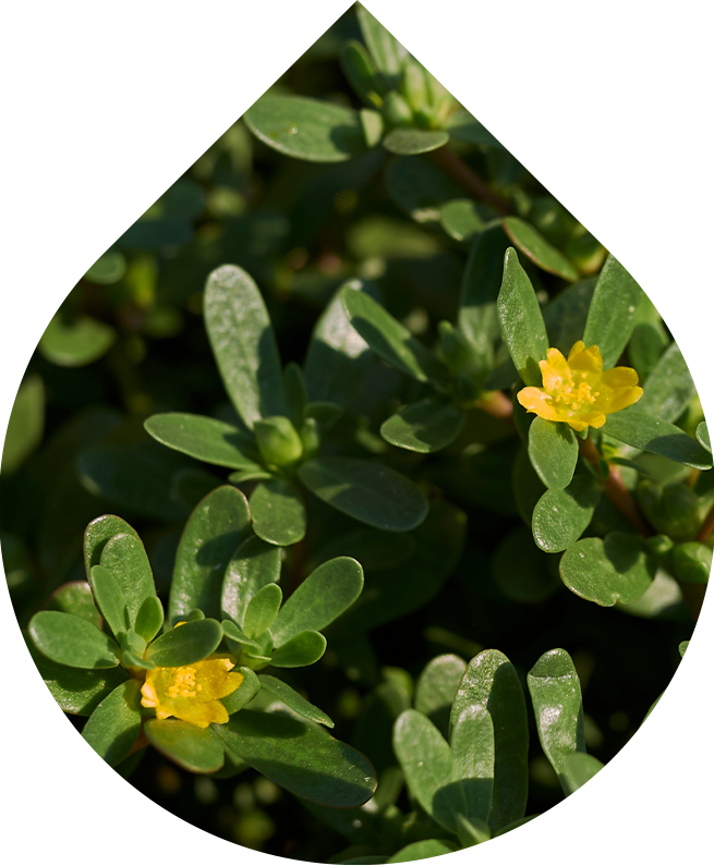 Tester Odličovacie mlieko 5 ml