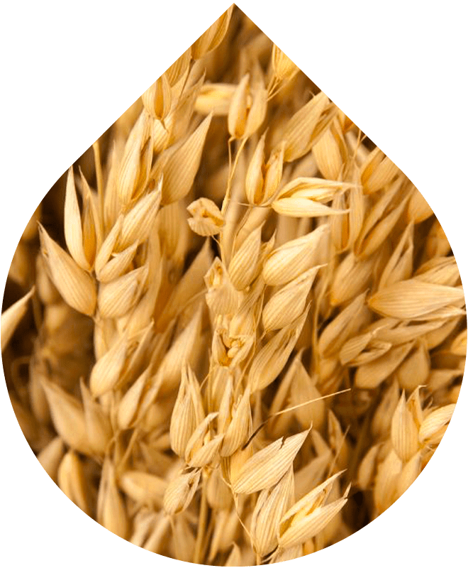 Náhradná náplň Regeneračné olejové sérum 30 ml + 5 ml GRATIS