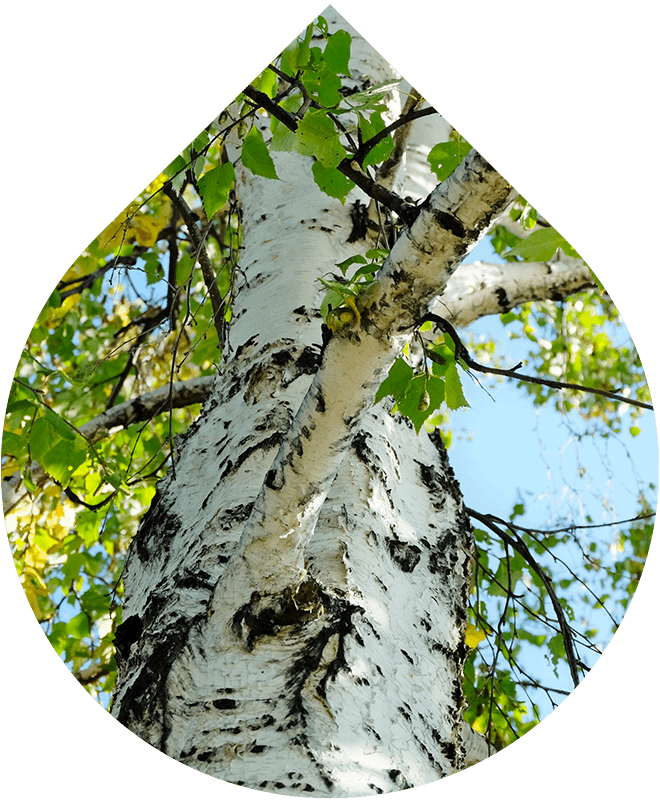 Čistiaca pena na akné 150 ml REFORMULACE