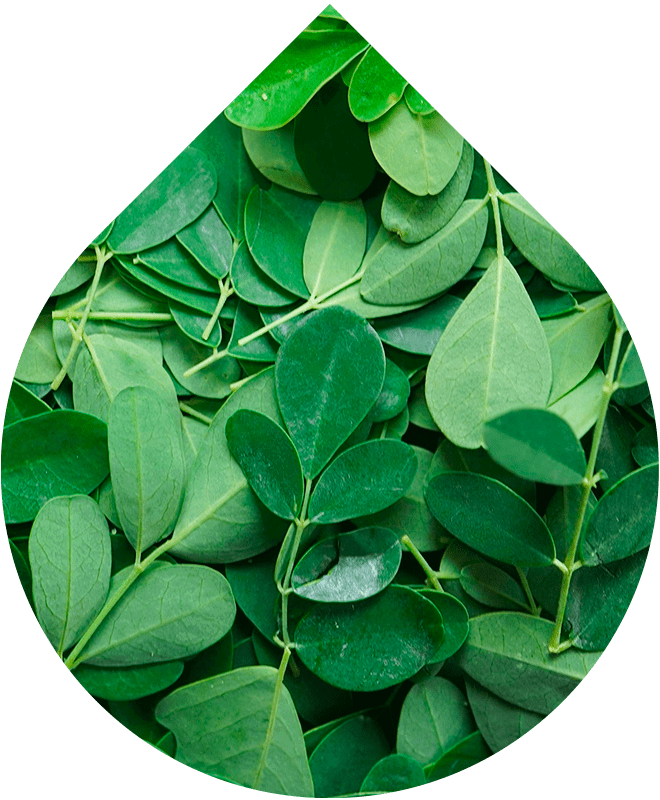 Ošetrujúci telový olej 100 ml REFRESH