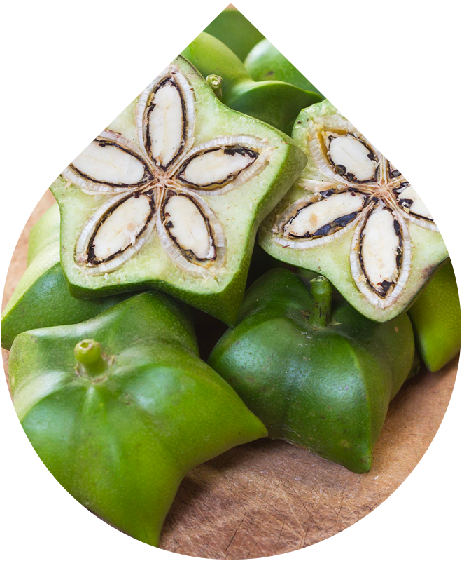 Telové mlieko 200 ml