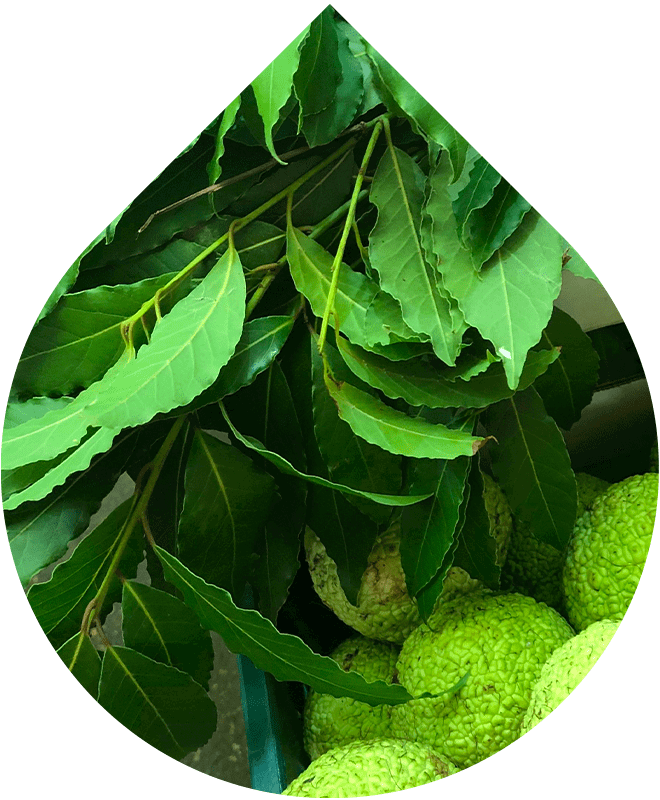 Náhradná náplň Lokálne sérum na akné s okamžitým účinkom 15 ml + 5 ml GRATIS