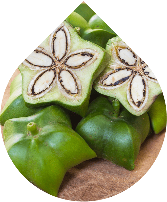 Náhradná náplň Mlieko po opaľovaní 200 ml + 20 ml GRATIS