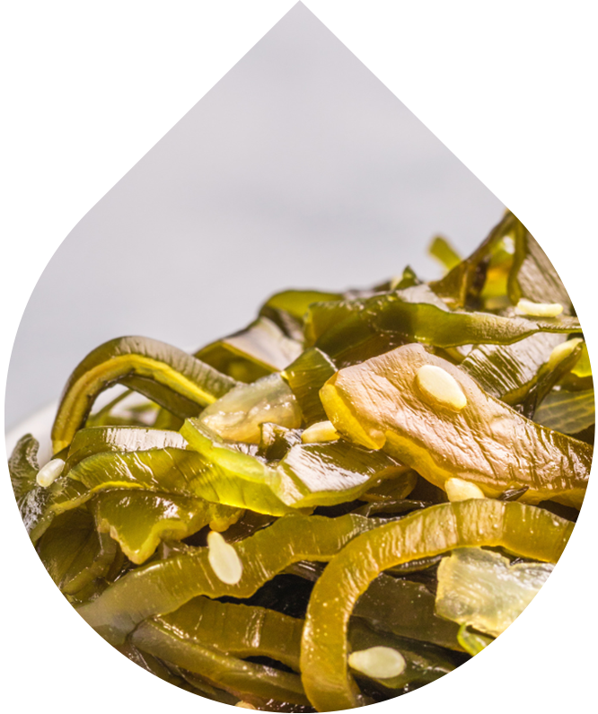 Náhradná náplň Nočný vyhladzujúci pleťový krém 50 ml + 10 ml GRATIS