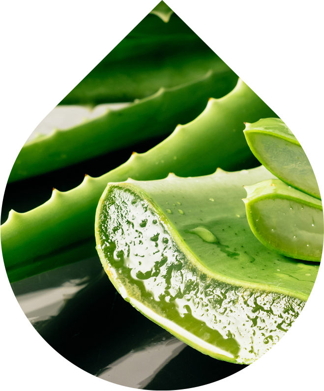 Sprchová pena Essential 150 ml