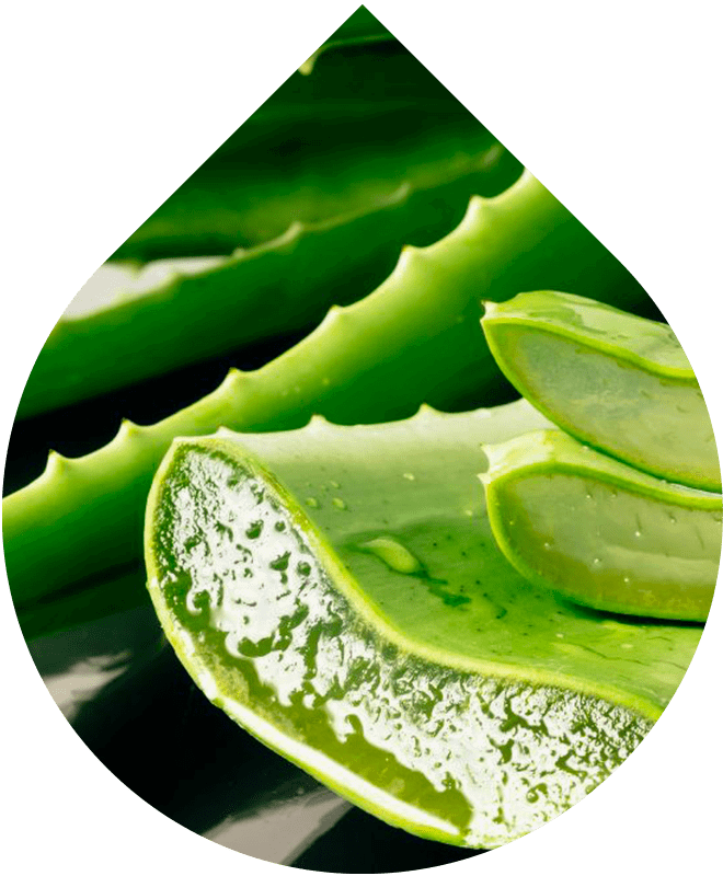 Jemná intímna čistiaca pena 150 ml REFORMULACE