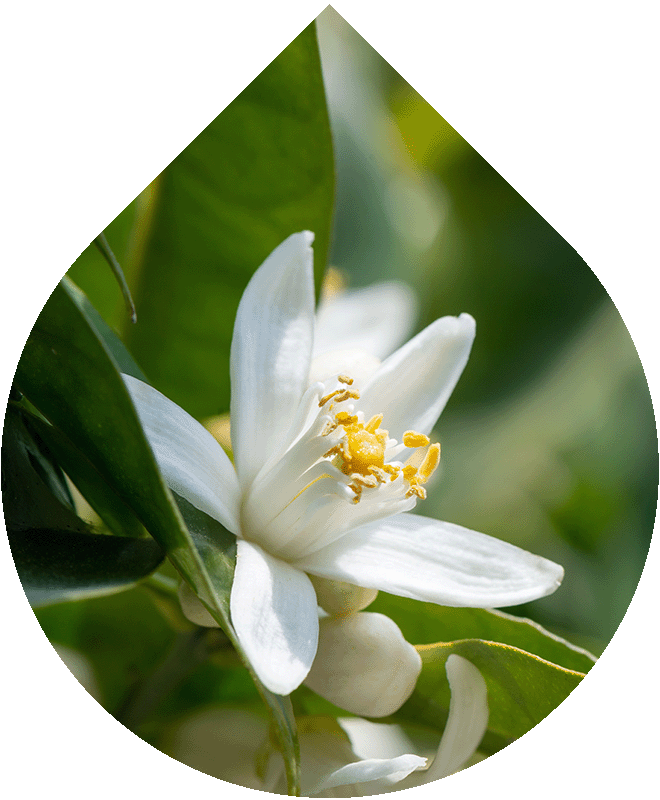 Sprchový gél 200 ml