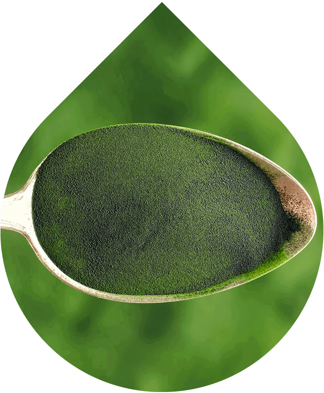 Náhradná náplň Šampón na mastné lupiny a problematickú pokožku 200 ml + 20 ml GRATiS