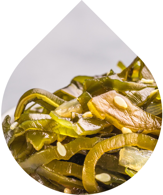 Náhradná náplň Odličovacie mlieko 100 ml + 5 ml GRATIS Reformulace