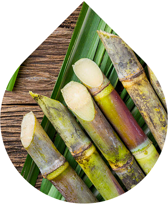 Telové mlieko 200 ml