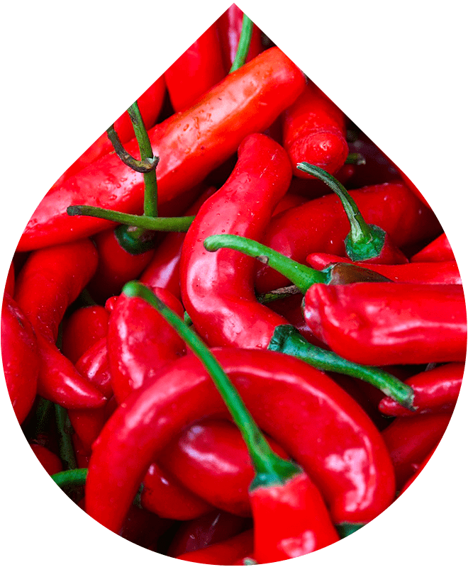 Krém proti celulitíde 200 ml