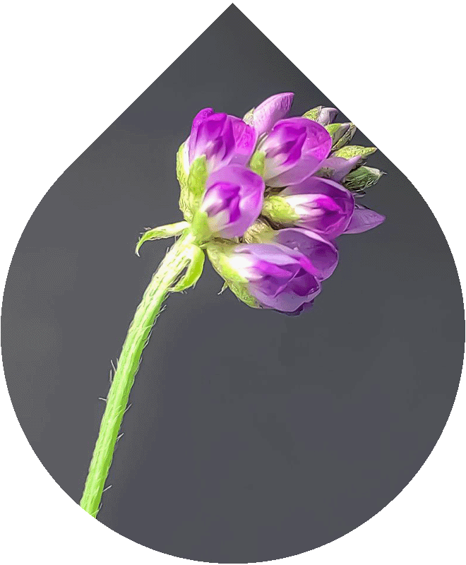 Retinal sérum 6 - 30 ml