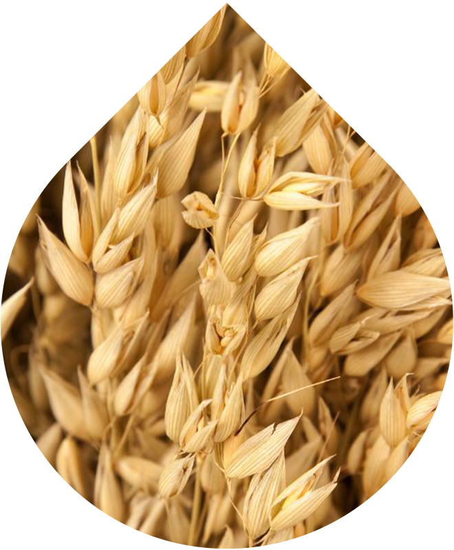 Suchý telový olej 100 ml