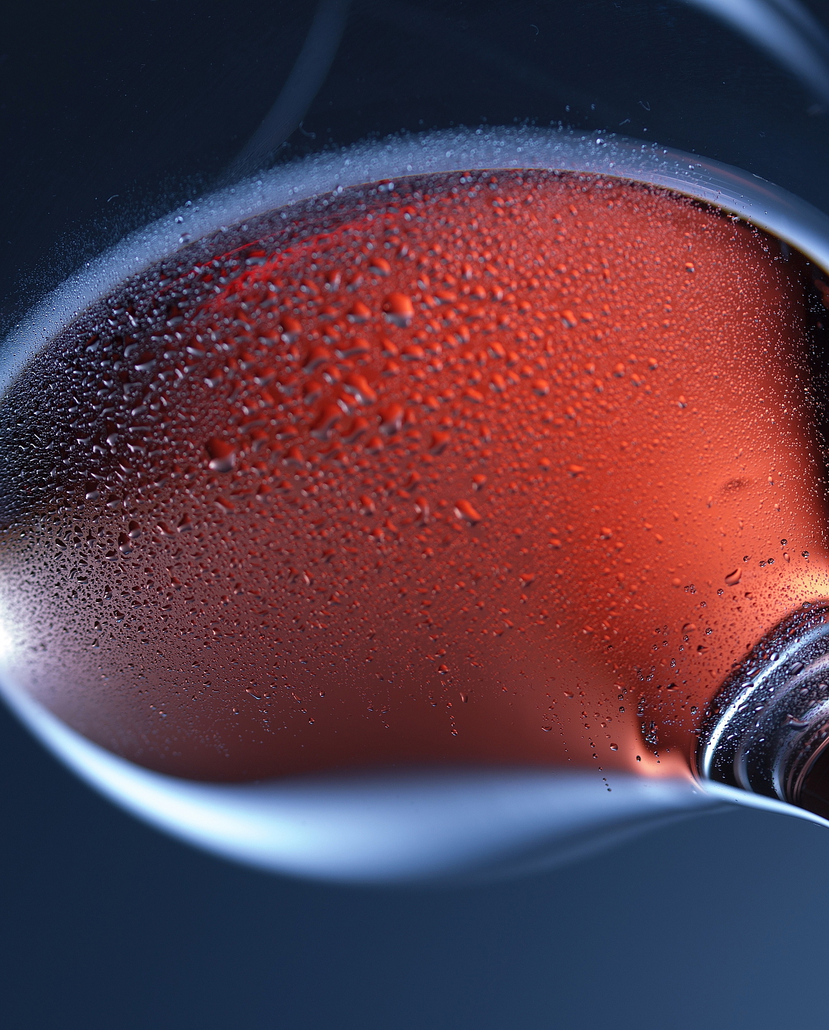 Jelení paštika s brusinkami