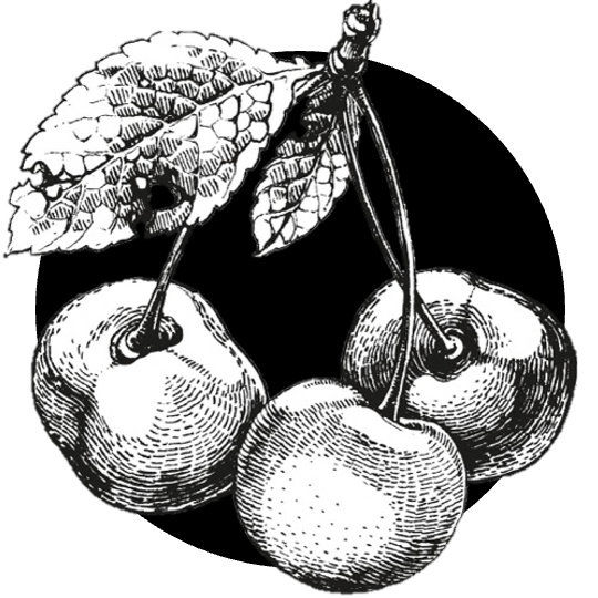 Višňový džem s rumem Republica