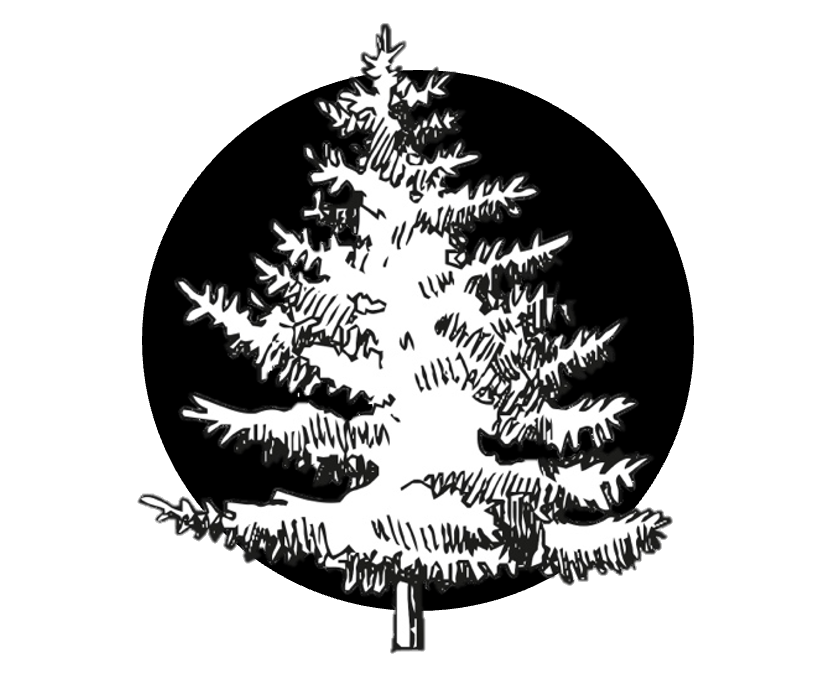 Švestkový džem s perníkovým kořením