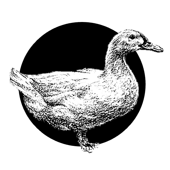 Kachní foie gras s kapkou koňaku