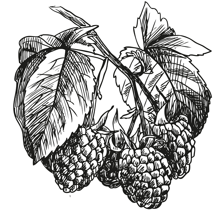 Višňový džem s rumem Republica