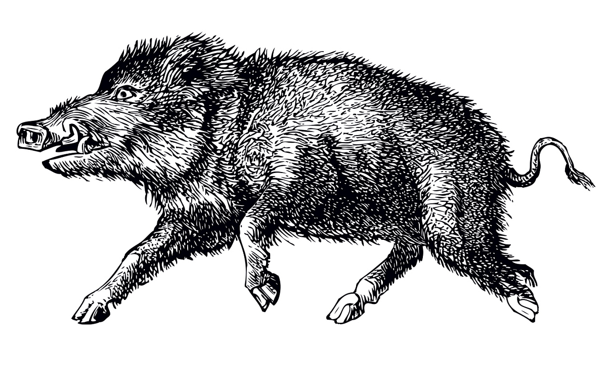 Jelení paštika s brusinkami