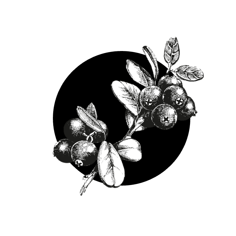 Jelení paštika s brusinkami