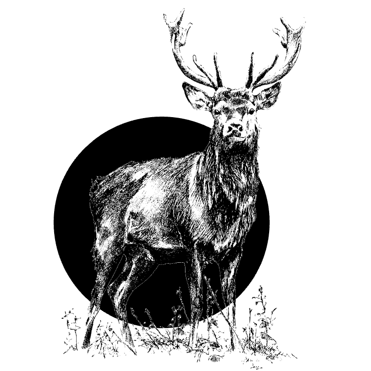 Jelení paštika s brusinkami