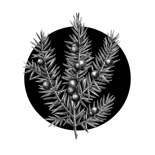 Paštika z divočáka na červeném víně