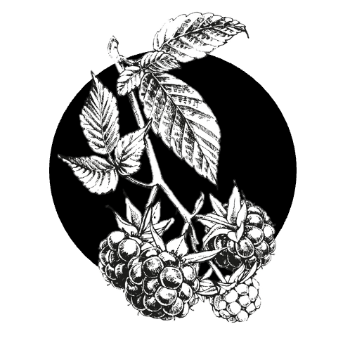 Ostružinový džem bez semínek