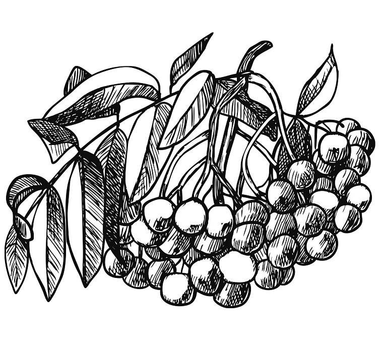 Višňový džem s rumem Republica