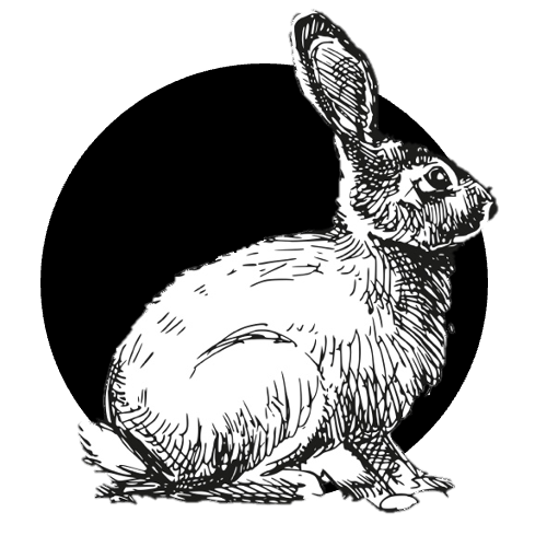 Pečený králík s vepřovým bůčkem