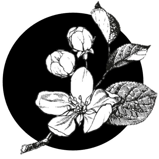 Višňový džem s rumem Republica