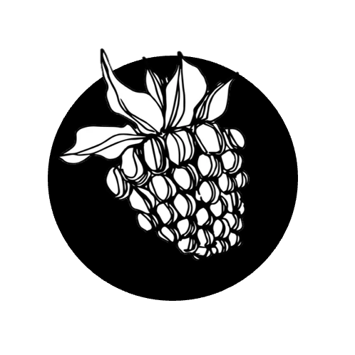 Ostružinový džem bez semínek