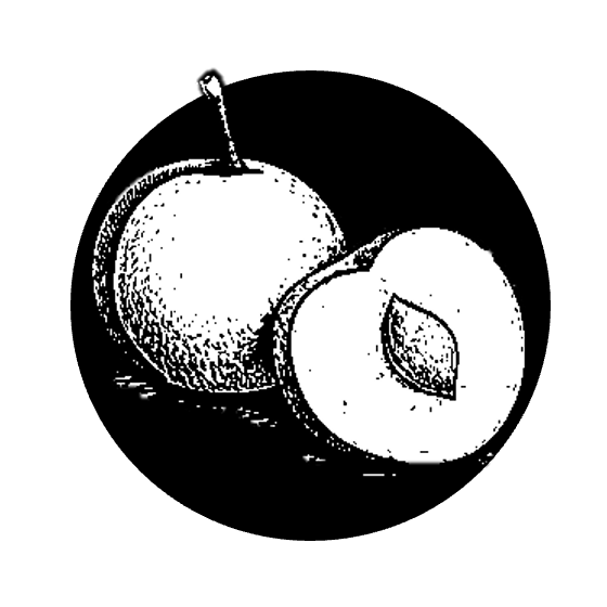 Špendlíkový džem