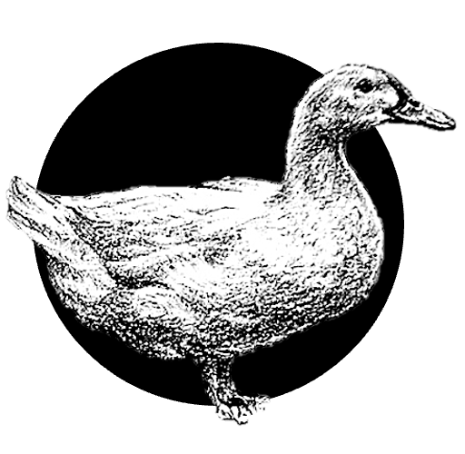 Kachní stehýnka ve vlastním sádle pečená