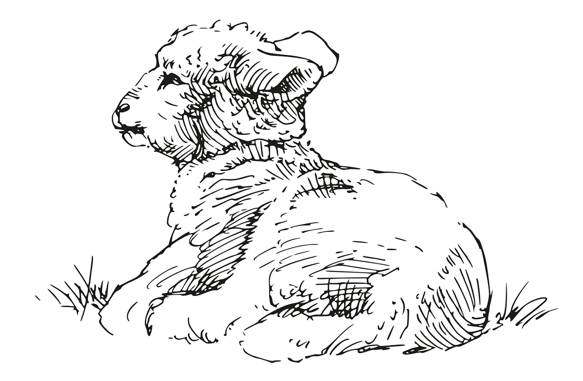 Pečený králík s vepřovým bůčkem