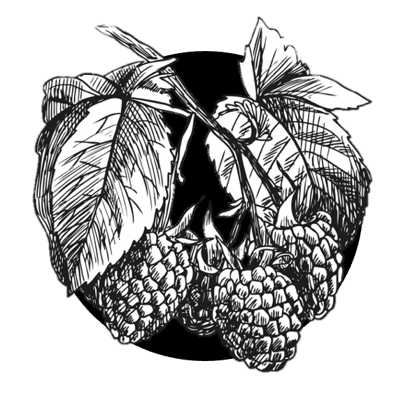 Malinový džem bez zrníček