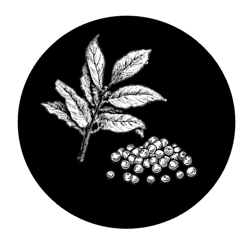 Uzený kapr ve slunečnicovém oleji