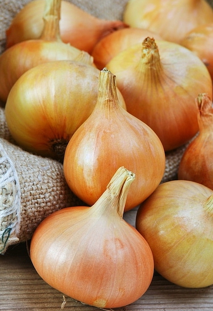 Zapečený tvarůžek ve vepřové paštice