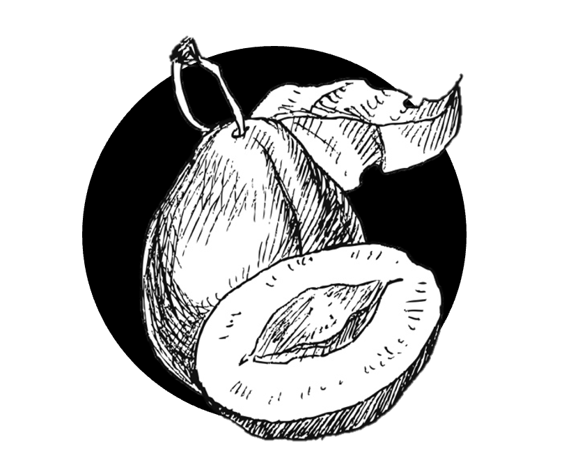 Švestkový džem s perníkovým kořením