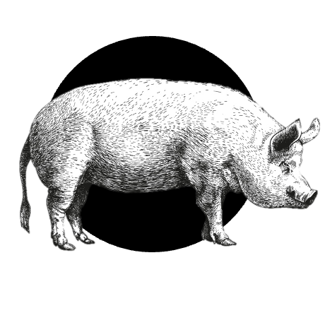 Vepřové maso z udírny uzené bukovým kouřem