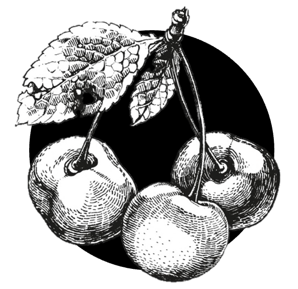 Na punč - tekuté koření s višněmi 345g