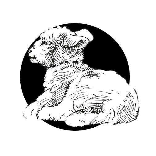 Jehněčí pečínka