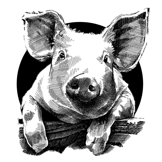 Zapečený tvarůžek ve vepřové paštice