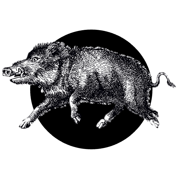 Paštika z divočáka na červeném víně