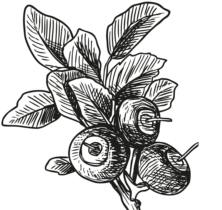 Višňový džem s rumem Republica